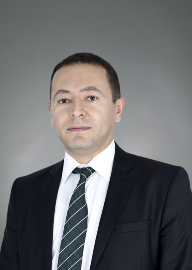 Farid Baghirov appointed Vice-President of Commercial and Business Development at GL Group